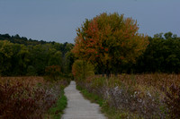 Great Meadows NWR Concord